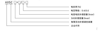 AXSC型號(hào)說明).jpg